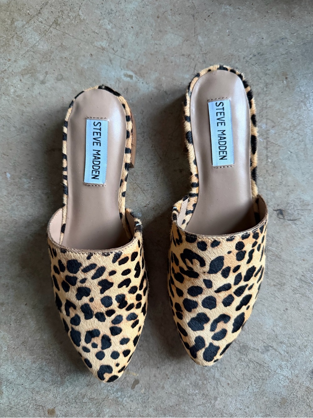 Steve Madden Leopard-Print Pointed Slip-On Mules in Tan and Black